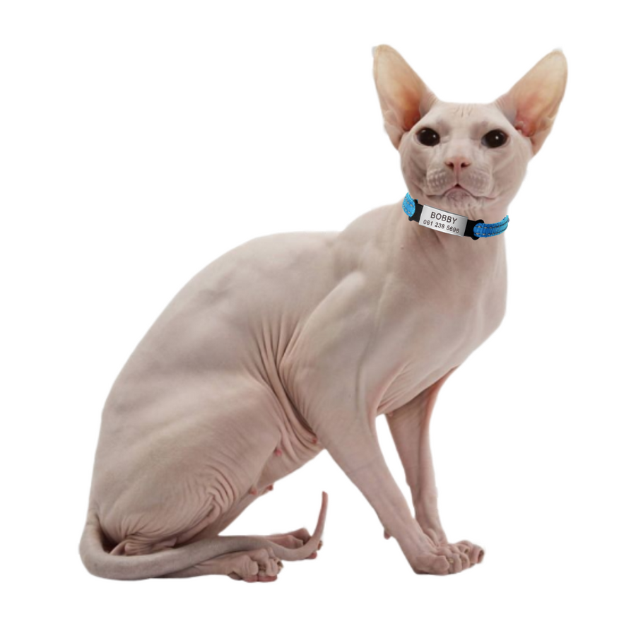 Personalized ID Tag Collar