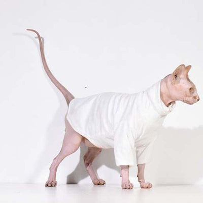 Sphynx Fashion Coat-Second skinn-Second skinn