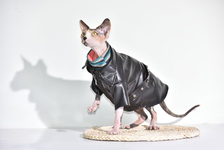 Sphynx Rocker Jacket-Second skinn-Second skinn