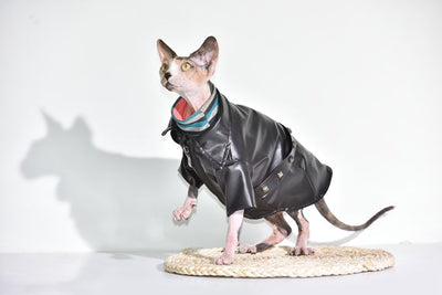 Sphynx Rocker Jacket-Second skinn-Second skinn