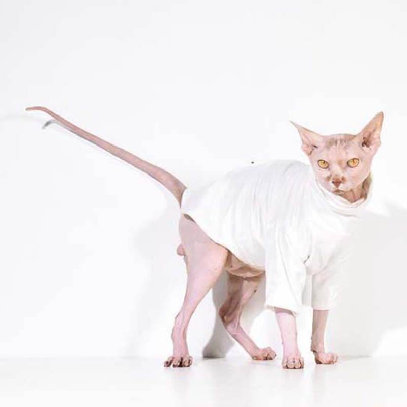 Sphynx Fashion Coat-Second skinn-Second skinn