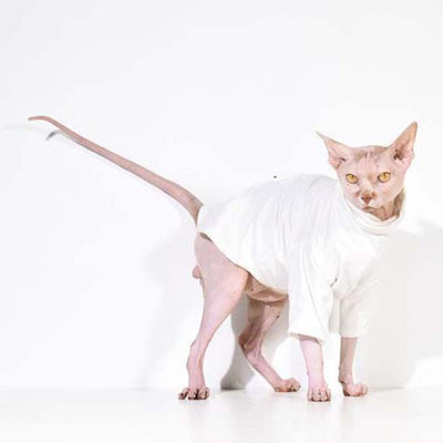 Sphynx Fashion Coat-Second skinn-Second skinn